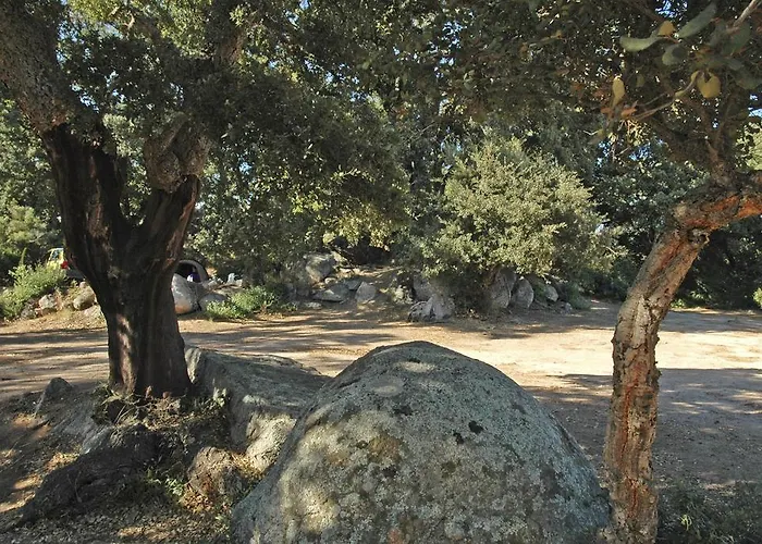 Pezza Cardo Camping 3*