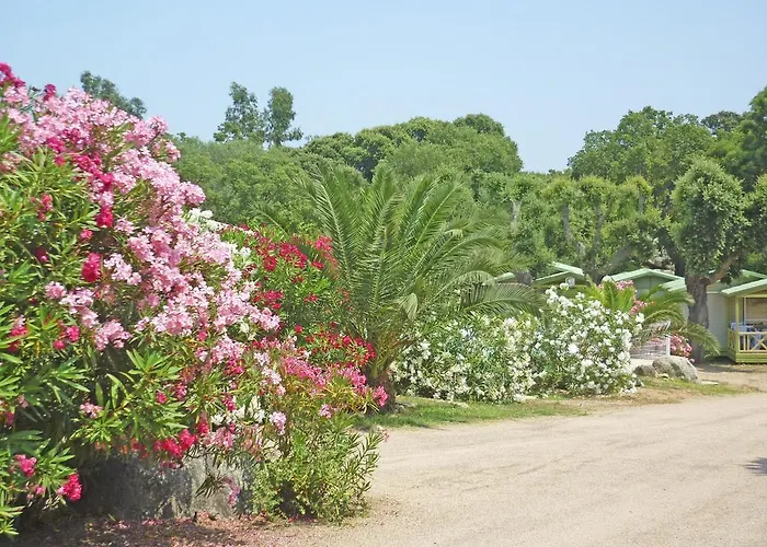 Camping Pezza Cardo Porto-Vecchio (Corsica)