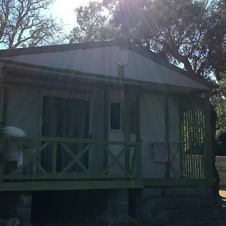 Pezza Cardo Camping
